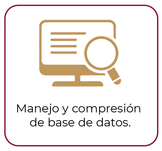 Manejo base de datos